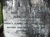 image of grave number 206155